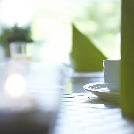 Hotel Koenigstein By Tulip 3*