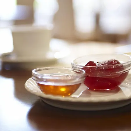 Koenigstein By Tulip