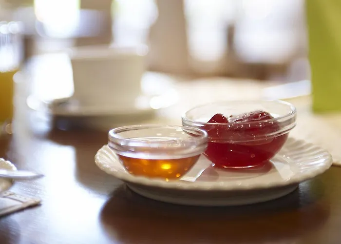 Koenigstein By Tulip